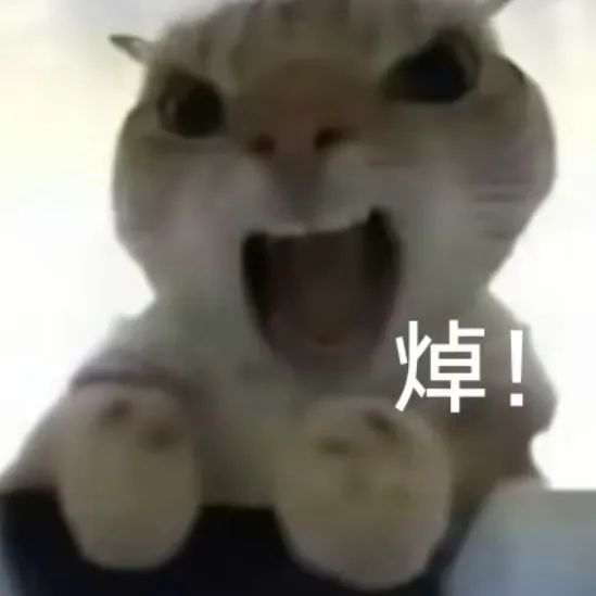 1千万不算财富自由!女主播称1千万太少,自己每月扔垃圾都要花费200元!找老公标准是要求未来老公,资产有很多个1千万!