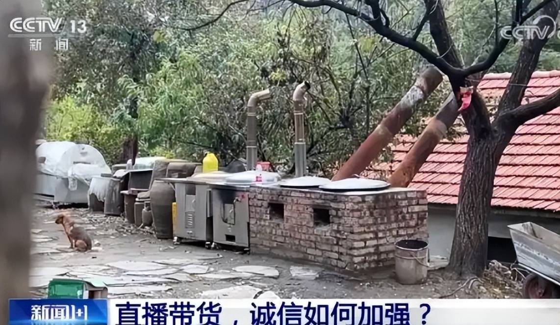东北雨姐再遭重创:有关部门出手罚款封号,四明星终解气
