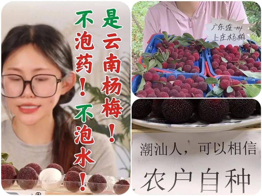 杨梅“泡药”翻车:消费者心寒,果农无奈