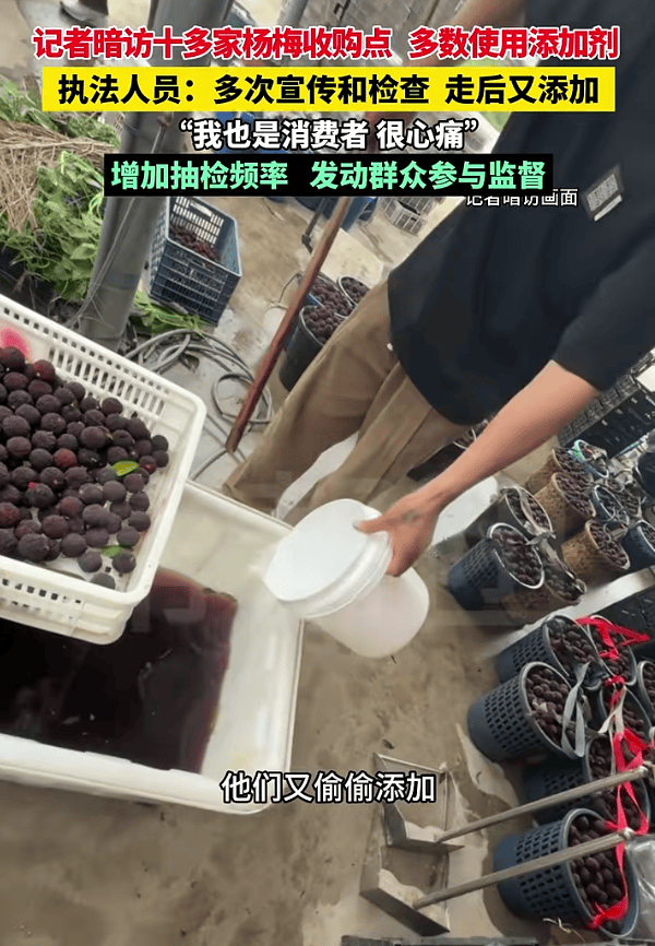 杨梅“泡药”翻车：消费者心寒，果农无奈