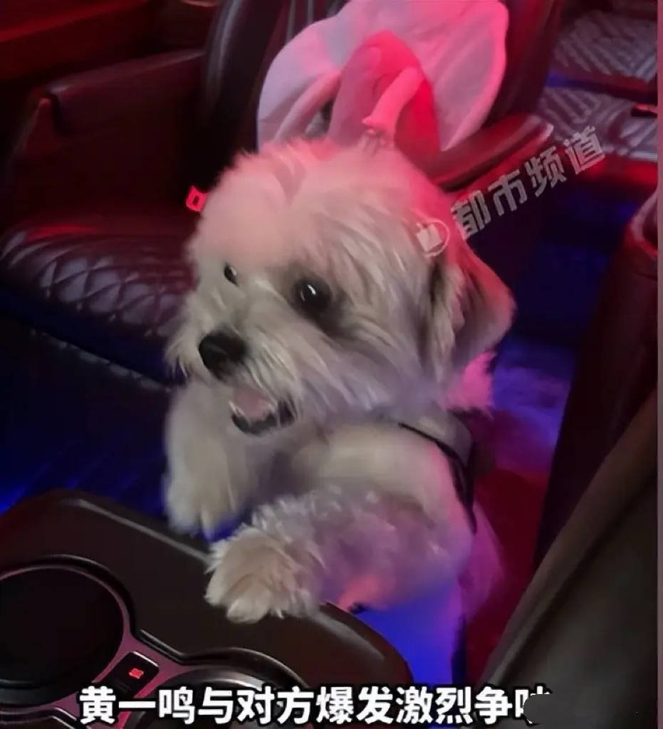 百万网红虐狗实锤!前男友曝王思聪不认女儿真相