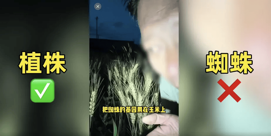 200万网红抹黑袁隆平造谣杂交水稻，账号被封