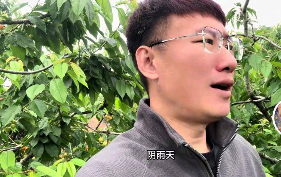 杨二狗分手费2万反转？网红卓越再被揭老底内幕